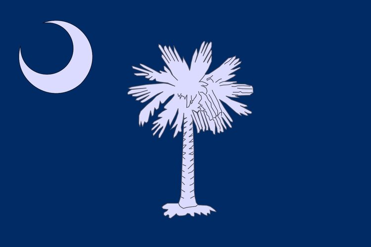 South Carolina state flag, a navy blue flag with a white palm tree in the center and a white crescent moon in the upper left corner.
